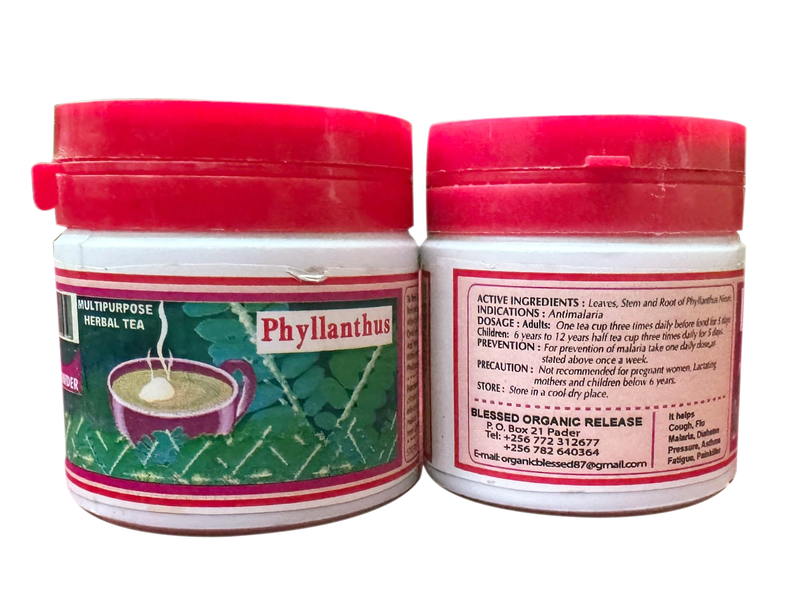 Phyllanthus Herbal Tea